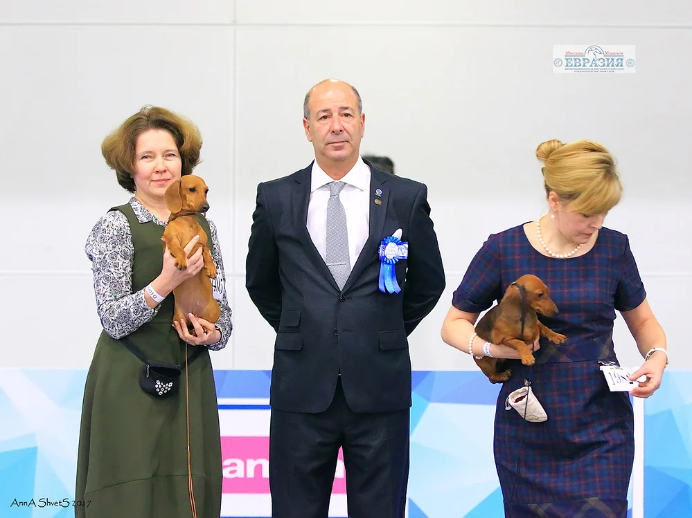 Интернациональная Выставка собак "Евразия-3", 19/03/2017, Москва, Россия
